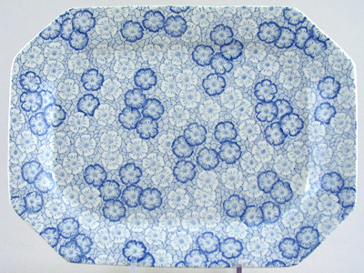 Meat Dish or Platter rectangular medium large